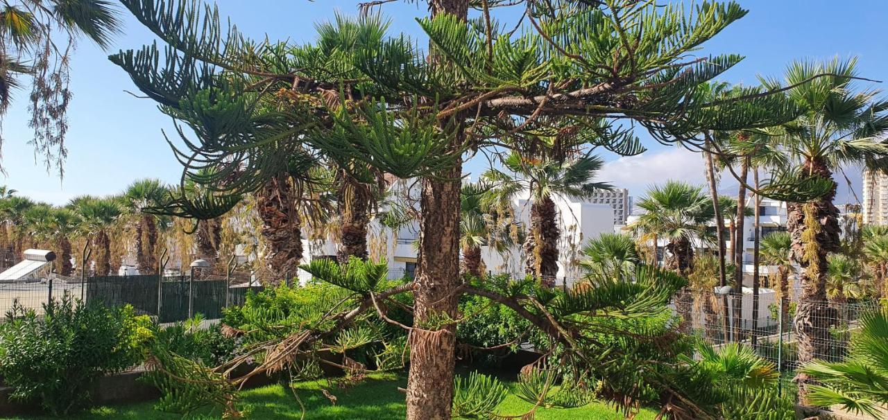 Adults Only Sunny Quiet Apartment In Center Of Las Americas Arona  Εξωτερικό φωτογραφία