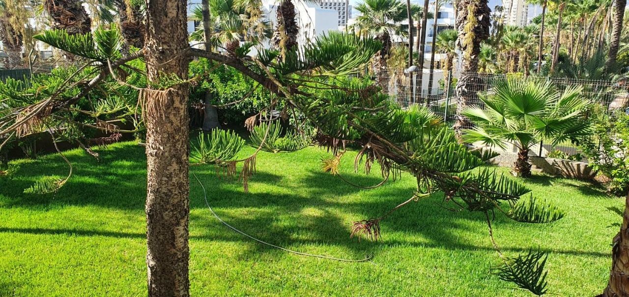 Adults Only Sunny Quiet Apartment In Center Of Las Americas Arona  Εξωτερικό φωτογραφία