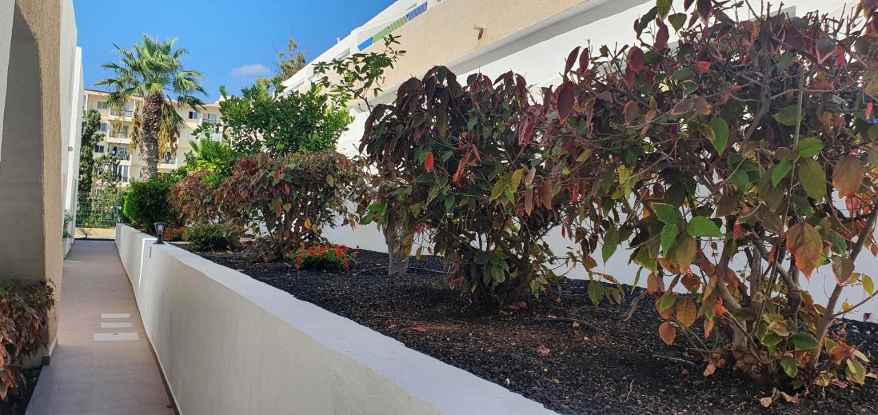 Adults Only Sunny Quiet Apartment In Center Of Las Americas Arona  Εξωτερικό φωτογραφία